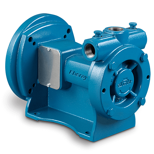 Regenerative Turbine Pumps